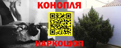 молекула духа Краснодар