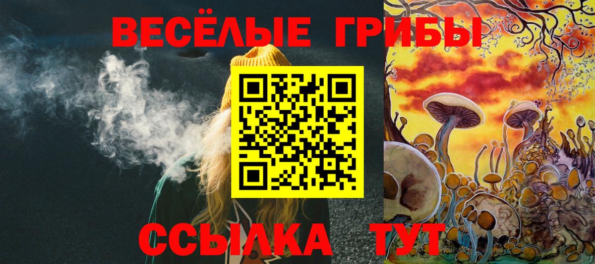 Валуйки  Псилоцибиновые грибы мицелий  Вход с VPN 