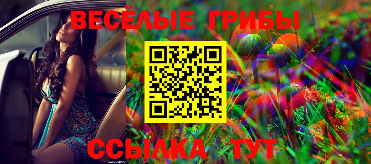 Галлюциногенные грибы Magic Shrooms Валуйки